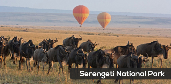Serengeti-NP-1A
